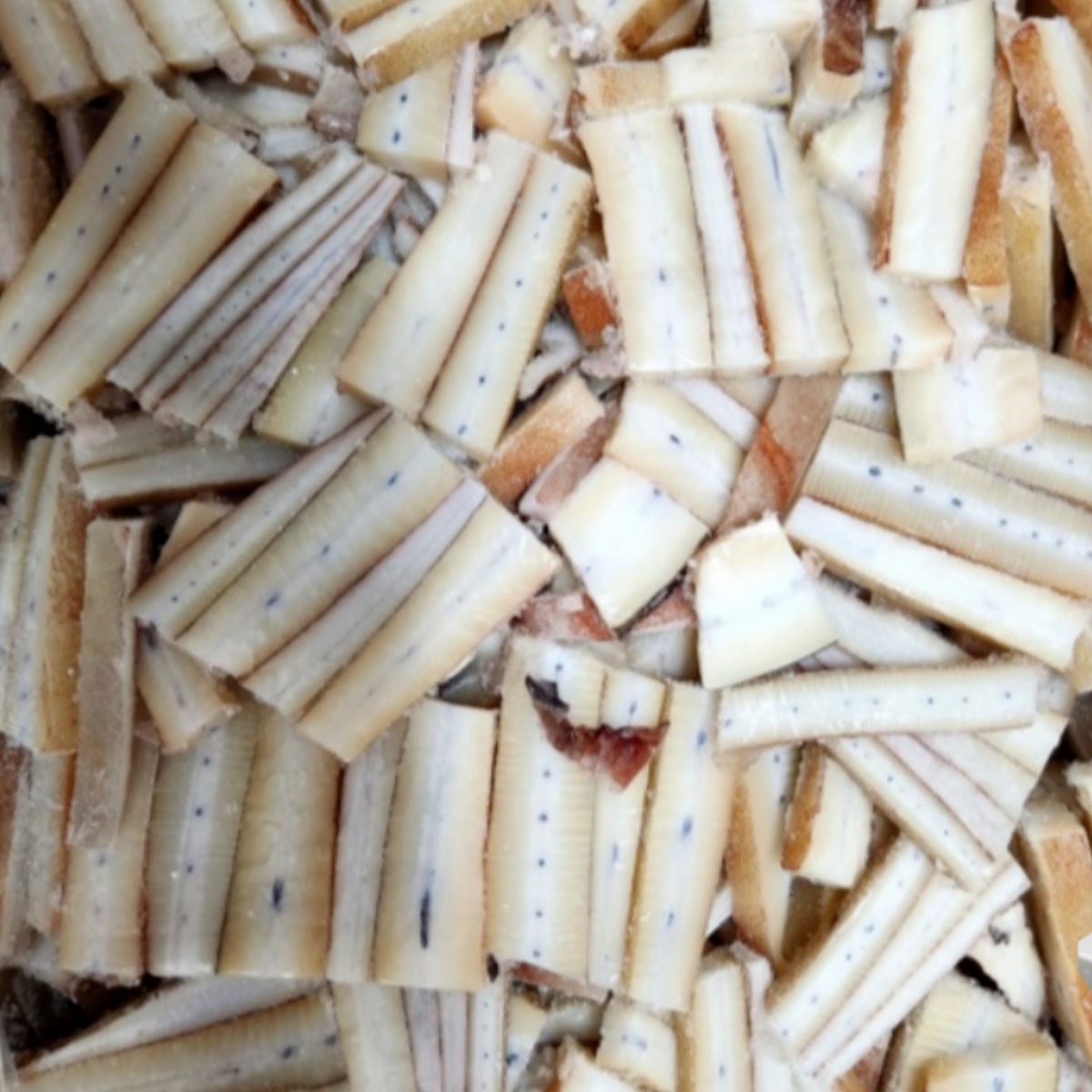 대길푸드 정성을 보내다 대왕오징어 귀채 39,700원