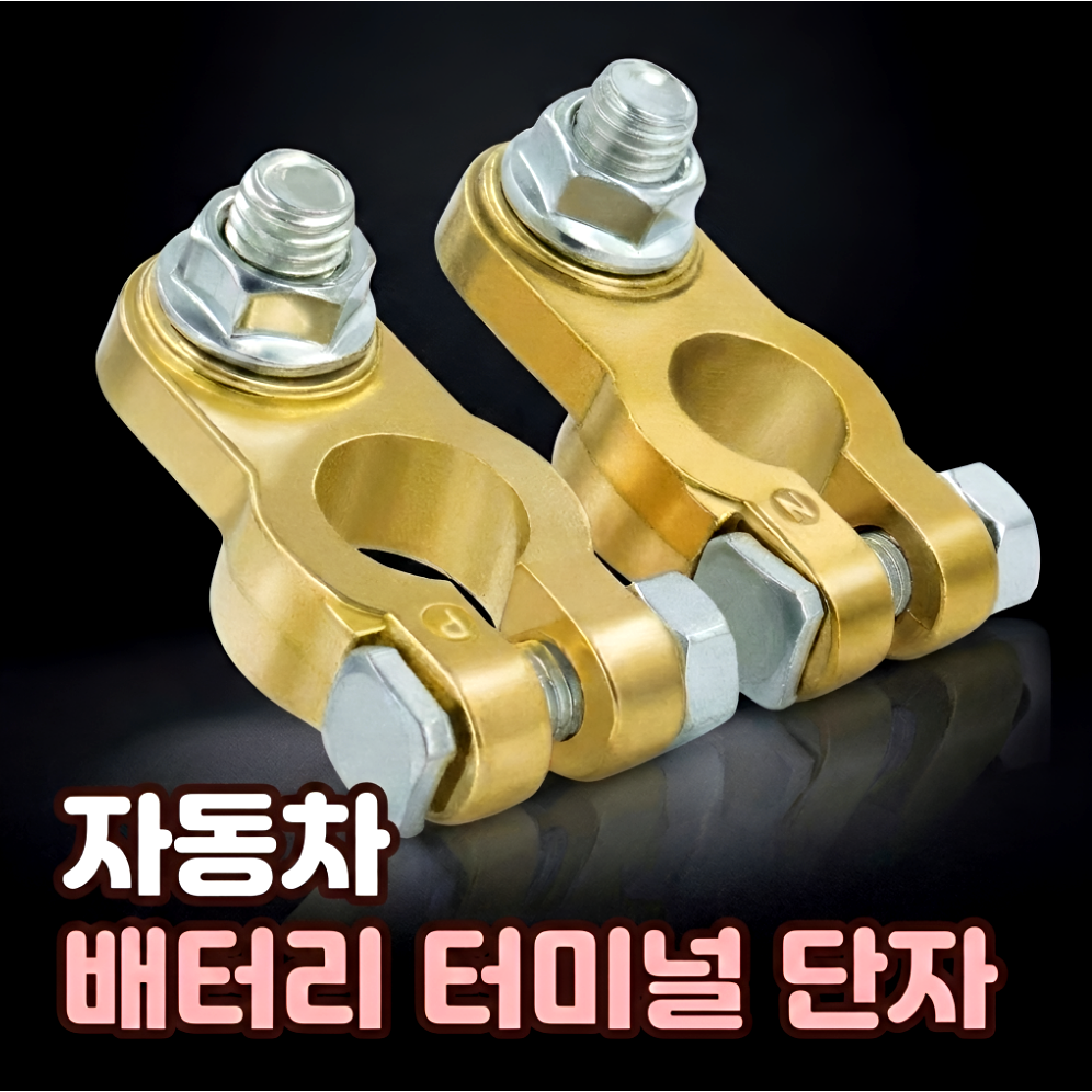 로니베이 자동차 배터리 터미널 단자 황동 음극(-) 양극(+) 9,800원