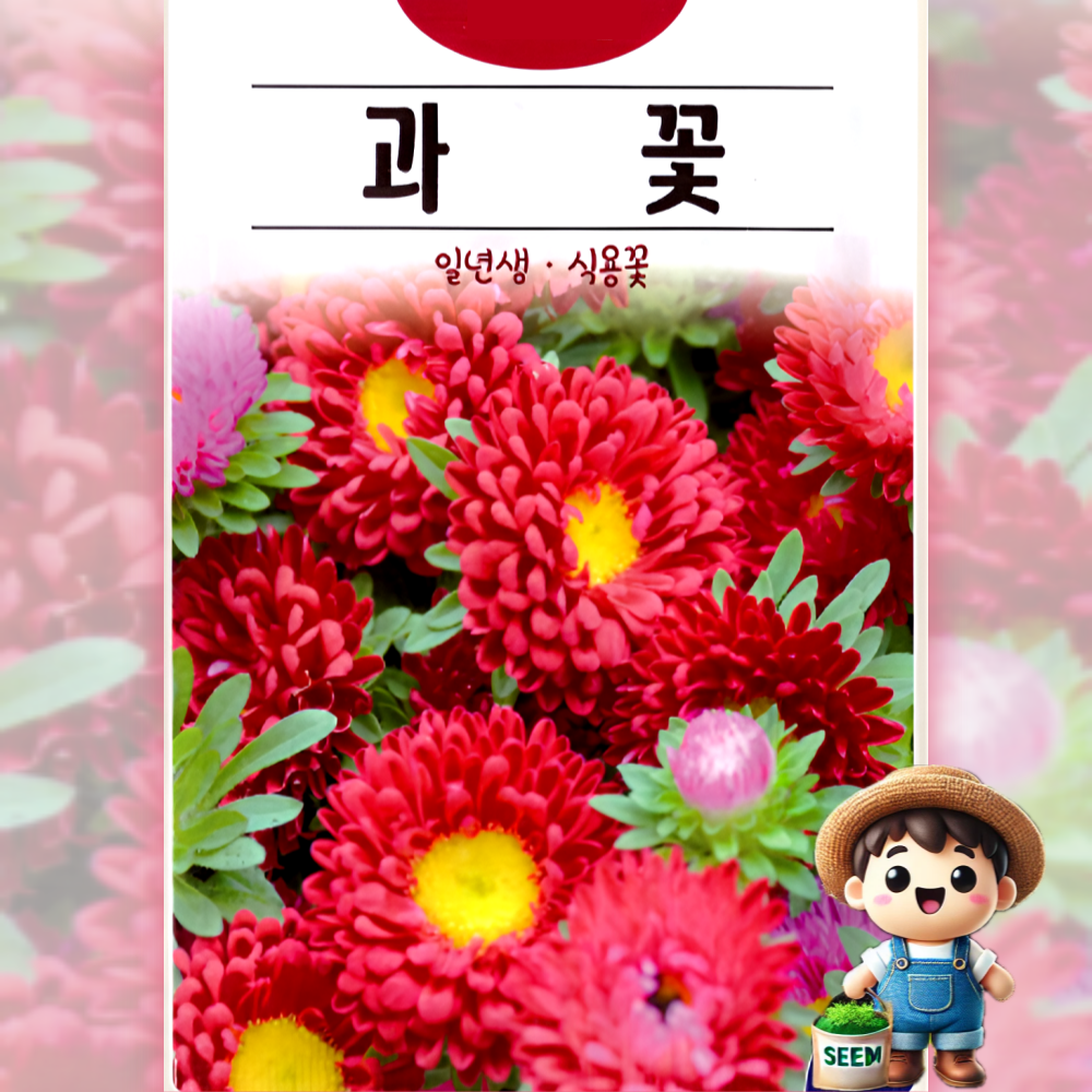 과꽃 씨앗 (400립) 일년생 식용꽃 종묘 종자 씨 영웅 KS, 1개 1,890원