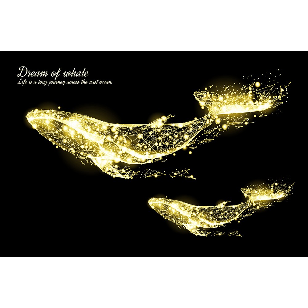 코나 주방아트보드 신혼부부 집들이 개업 선물 이벤트 고래의꿈2 골드 84,800원