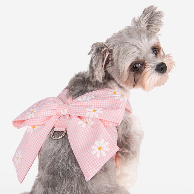 올치 반려동물 캔디 리본 하네스 HB5631, 핑크, 1개 26,230원