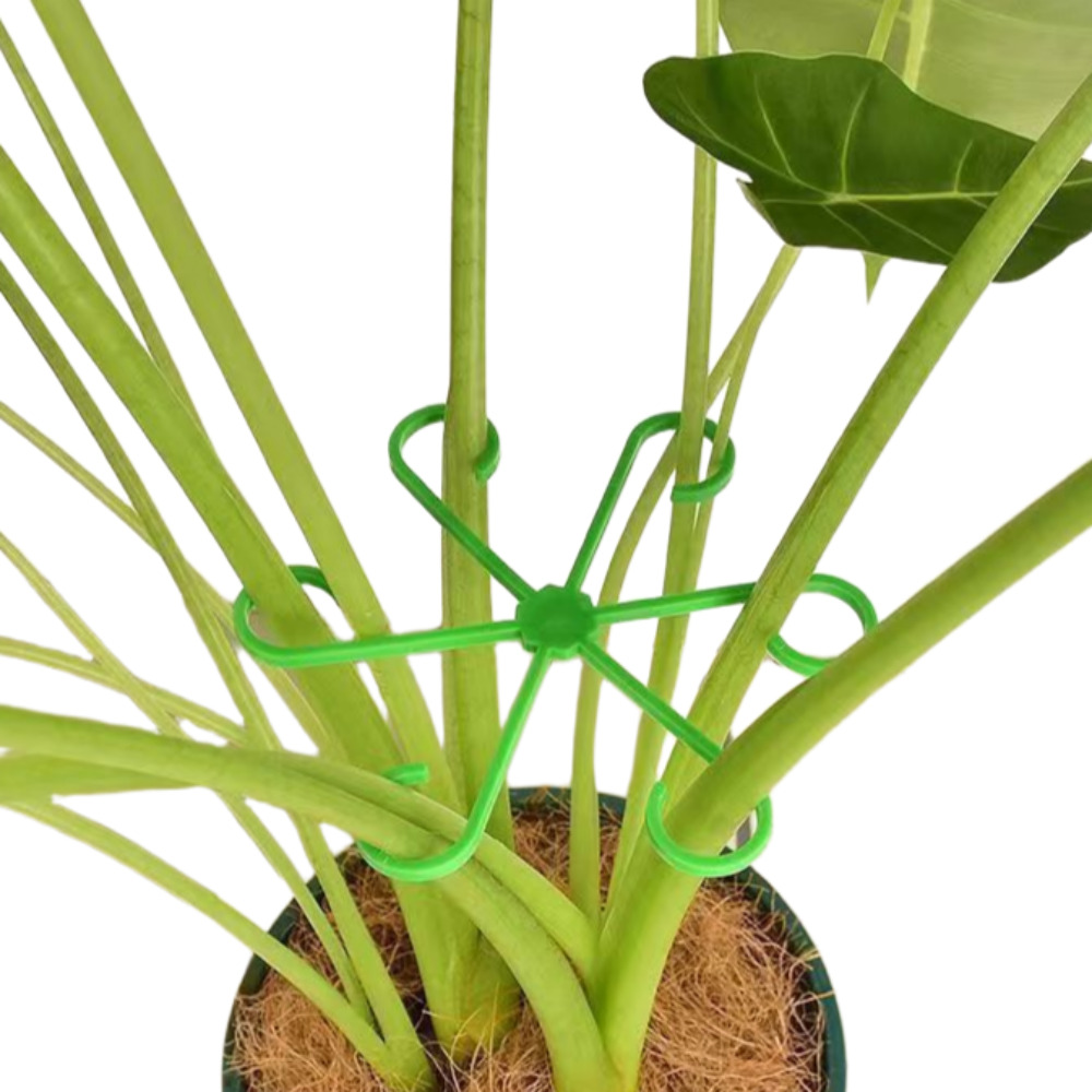 모덱스 식물 줄기 지지대, 12개 7,900원