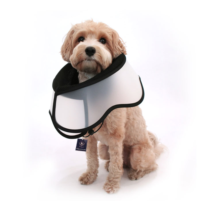 딩동펫 반려동물 접이식 중성화 넥카라 목 보호대 17,200원