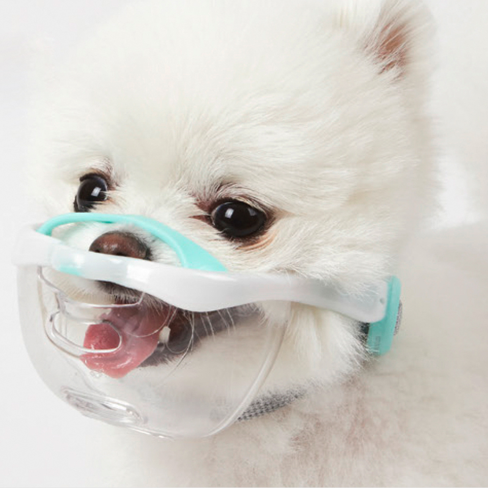 루브립 강아지 투명입마개, DCM-B-WH(베리 화이트), 1개 28,250원