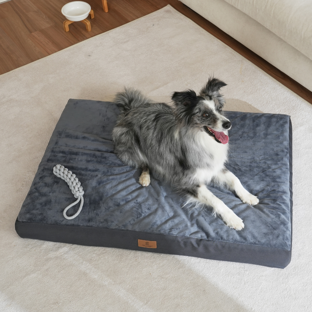 강아지 마약방석 소형견 중형견 방석 방수 애견 쿠션 반려동물 침대 푹신한 사계절 펫방석, 1개, 진그레이 19,000원