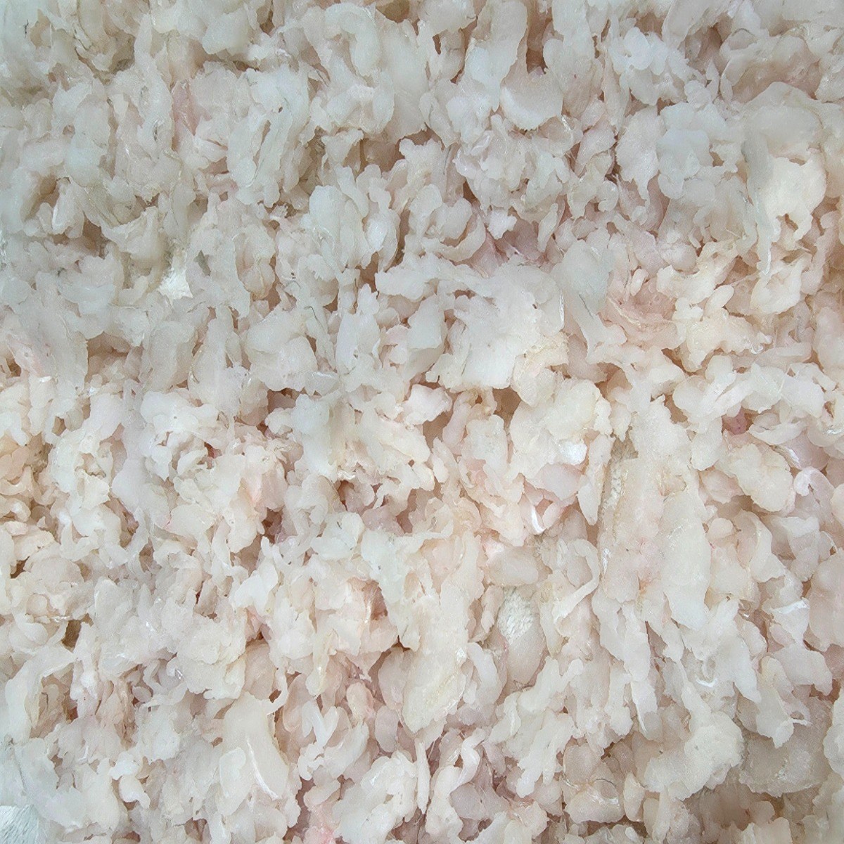 통영 붕장어 바다장어 아나고 회 순살 세꼬시 350g 손질 전 1kg, 2세트, 아나고 세꼬시 350g 35,400원