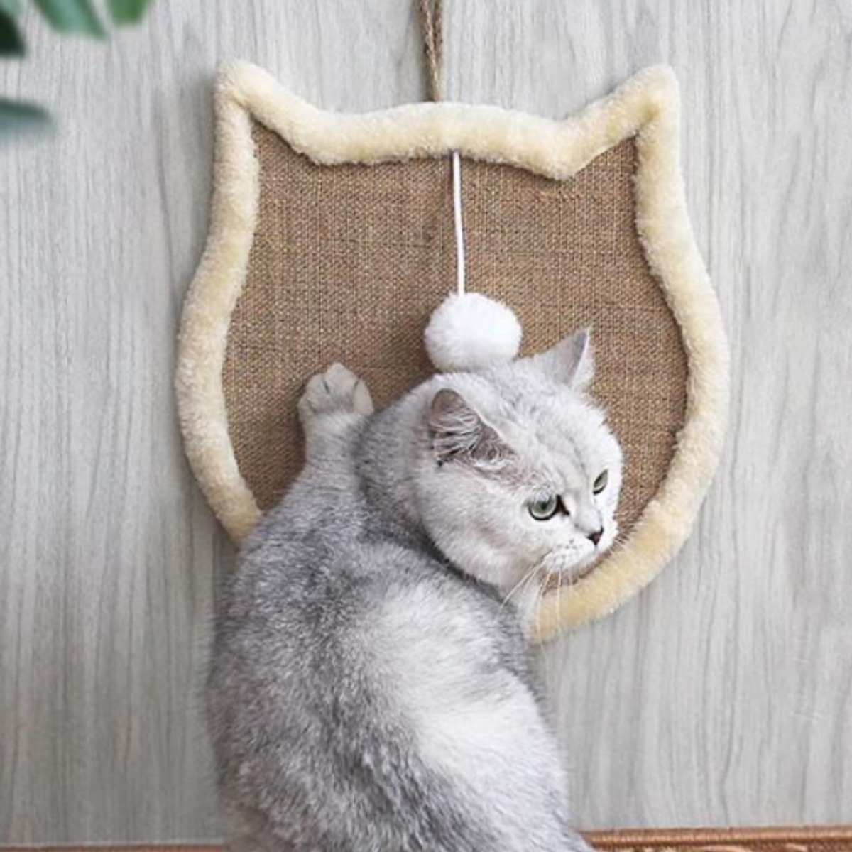 루시앤유 고양이 스크래쳐 평판형 벽걸이 애니멀스크래쳐, 1개 8,900원