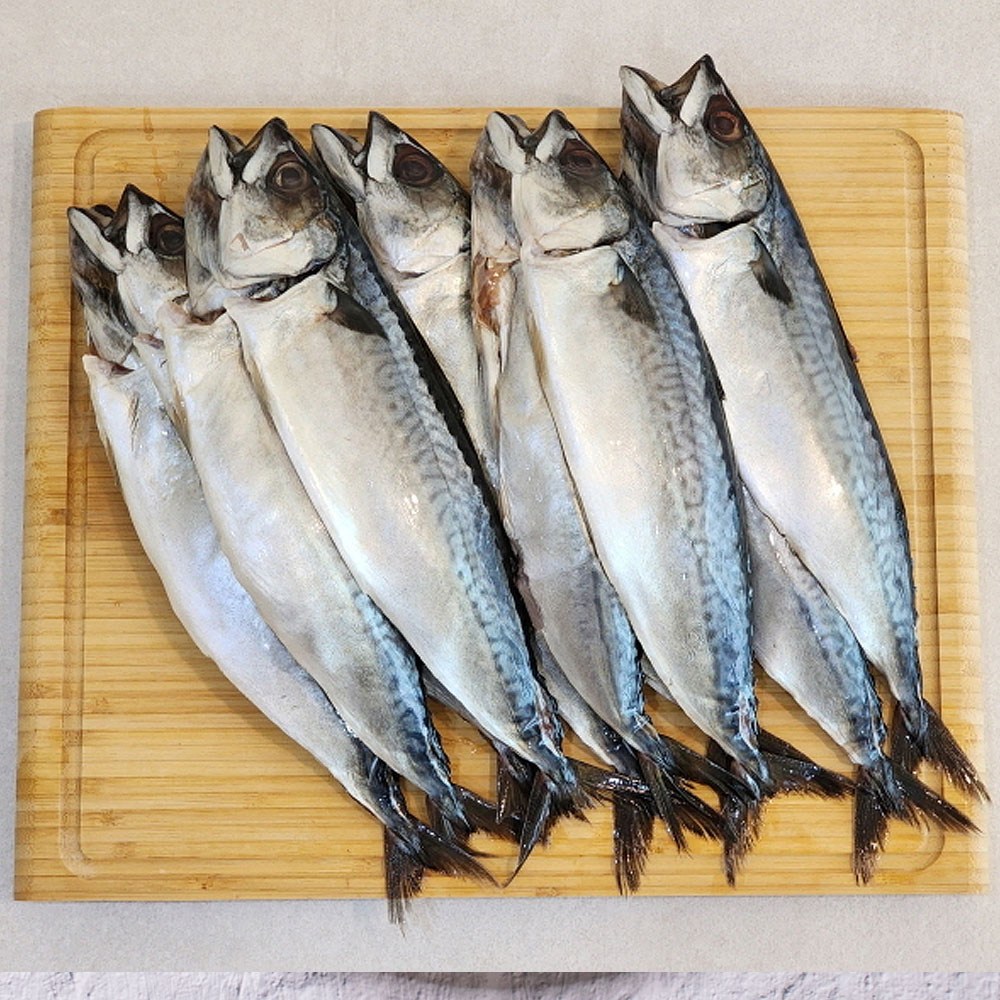 부산 자반고등어 10미 대사이즈 3kg이상, 1세트, 10미당 3.1kg - 3.7kg 내외 32,300원