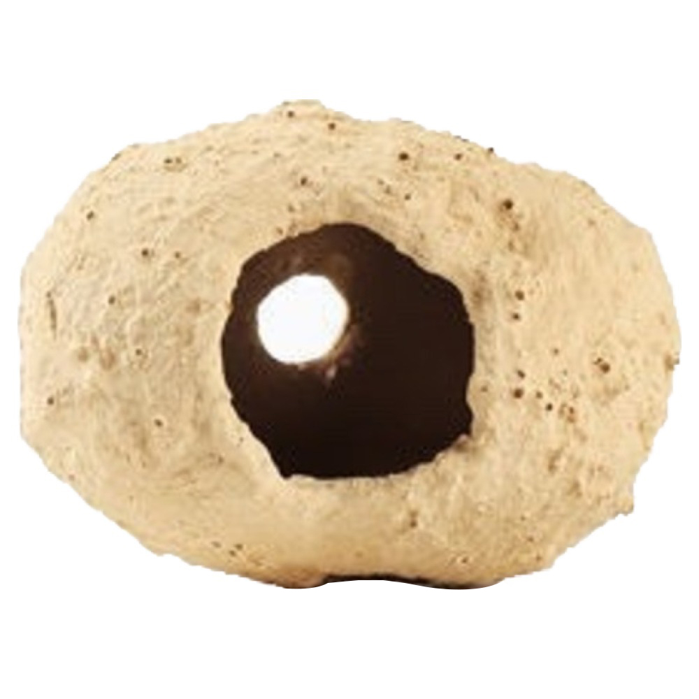 애와니 반려동물 둥지 번식장 물고기 은신처  돔 1호 9,930원