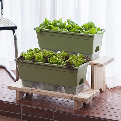 이즈리빙 내집에 텃밭 화분 15L x 2p + 배양토 20L 세트 24,300원