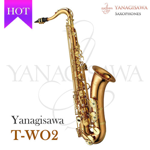 야나기사와 테너 T-WO2 5,200,000원