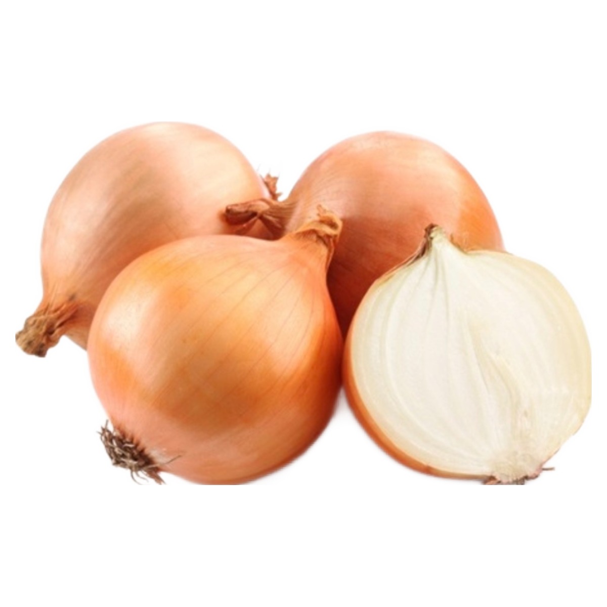 [팜팜]국내산 25년 창녕 햇양파(중짜), 1박스, 10kg 17,880원