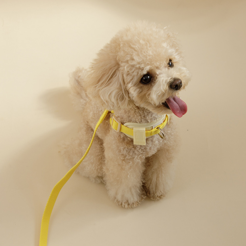 힛찌 강아지 초경량 이지워크 Y형 하네스 25,900원