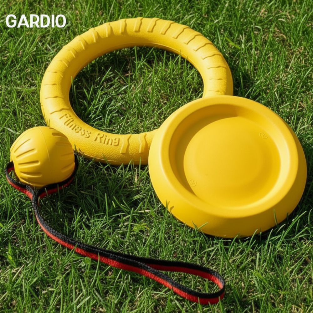 가디오 대형견 3종 플레이세트 강아지 터그놀이 장난감 공 16,900원