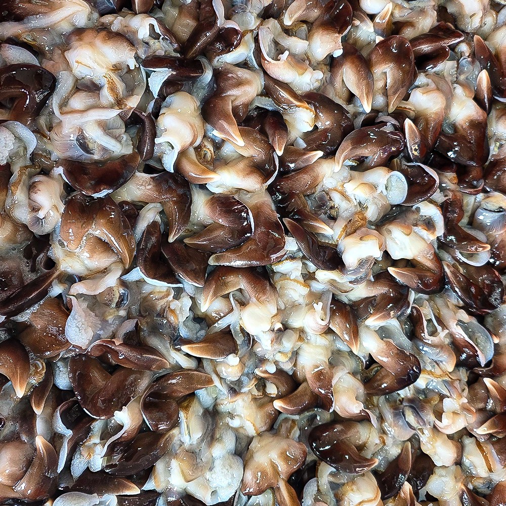 [제철직송] 자연산 새조개 순살 200g 당일조업 (손질전 원물 1kg), 1개, 200g 28,900원