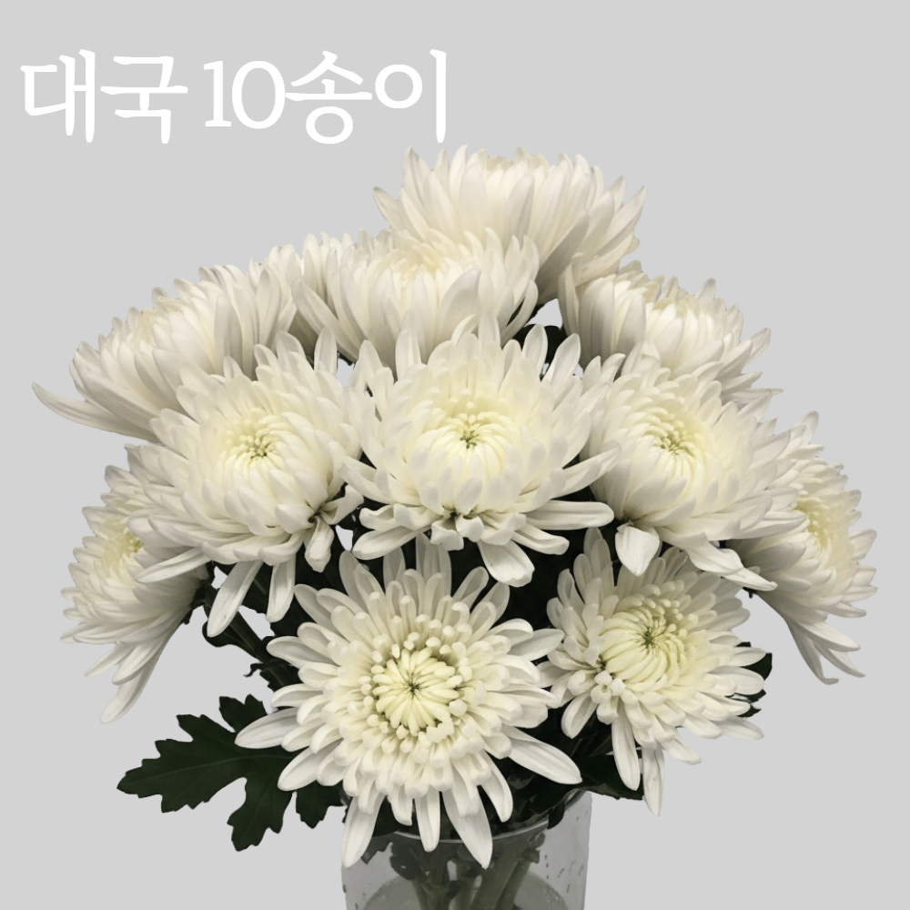 톡이네 국화꽃다발 성묘꽃다발 대국 조의 조문 추모 납골당 산소 생화 꽃 26,900원