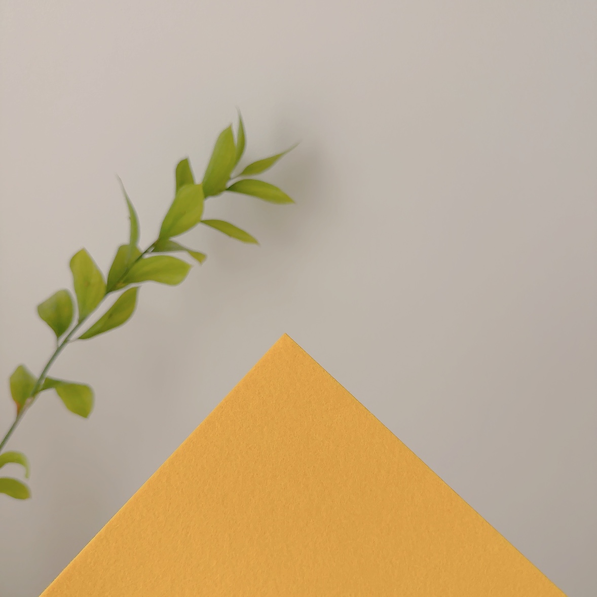 야야랜드 도마뱀 펠트지 바닥재 2mm 사육장 파충류 크레스티드게코 3,900원