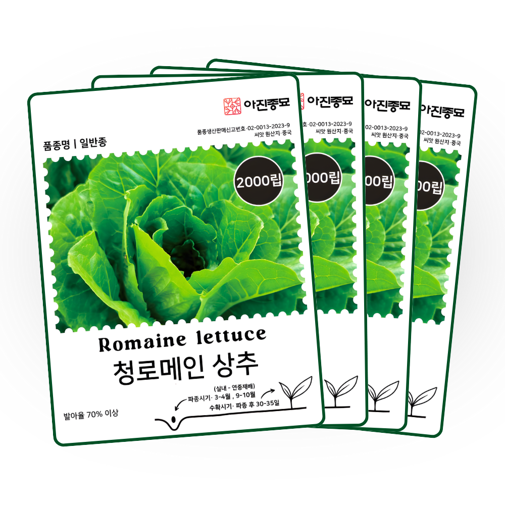 [주주씨앗] 청로메인 상추 씨앗 2000립 / 인기 유럽상추 쌈채소 종자, 4개 8,000원