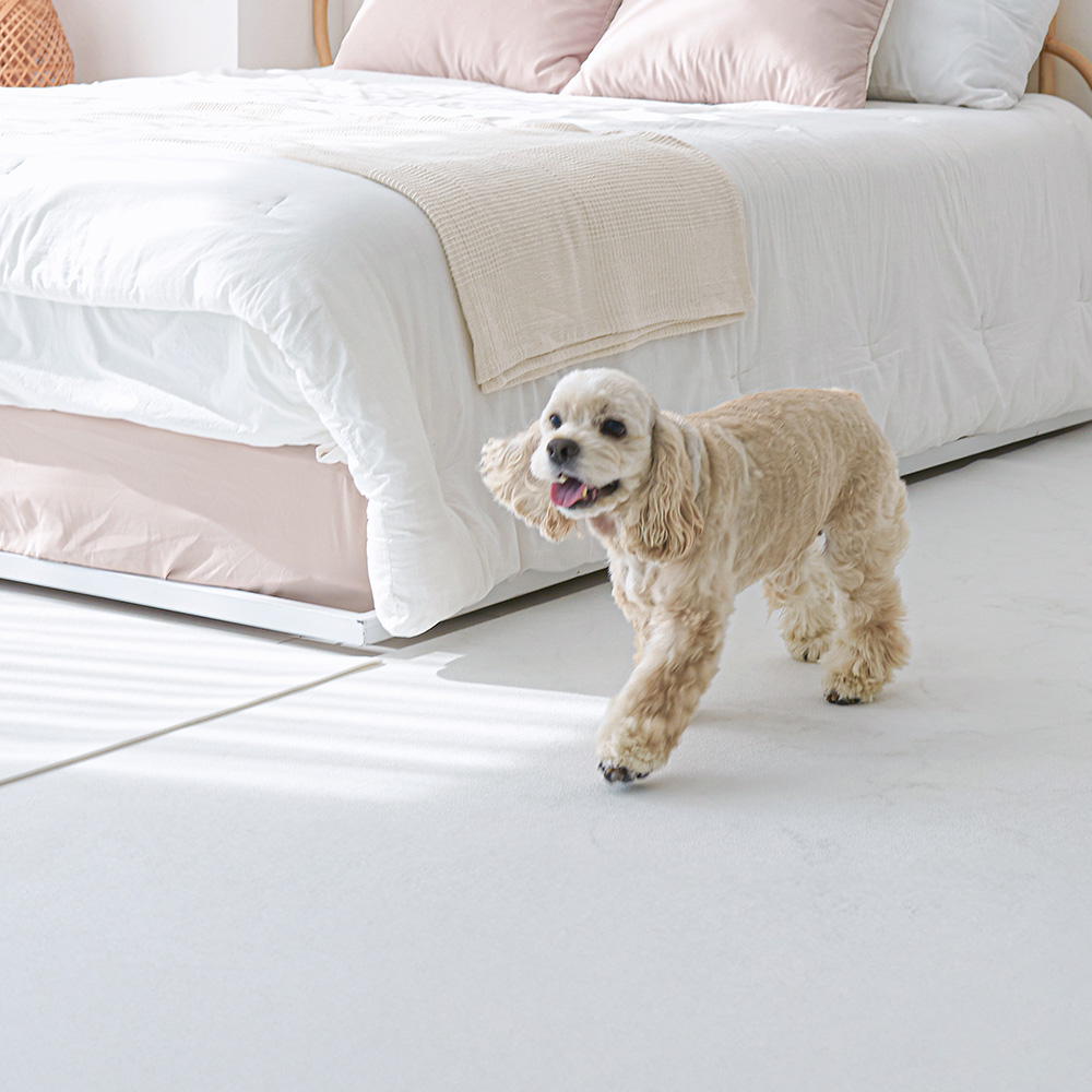 이리로 리핏매트 애견 강아지매트 미끄럼방지 롤 덧매트, 1개, 화이트쉘 78,400원