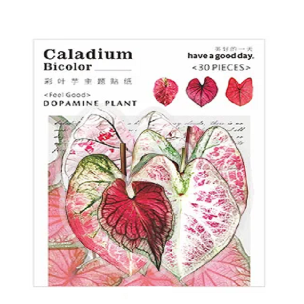 이와이 빈티지 다꾸 칼라디움 바이컬러시리즈 PET 스티커 4,300원
