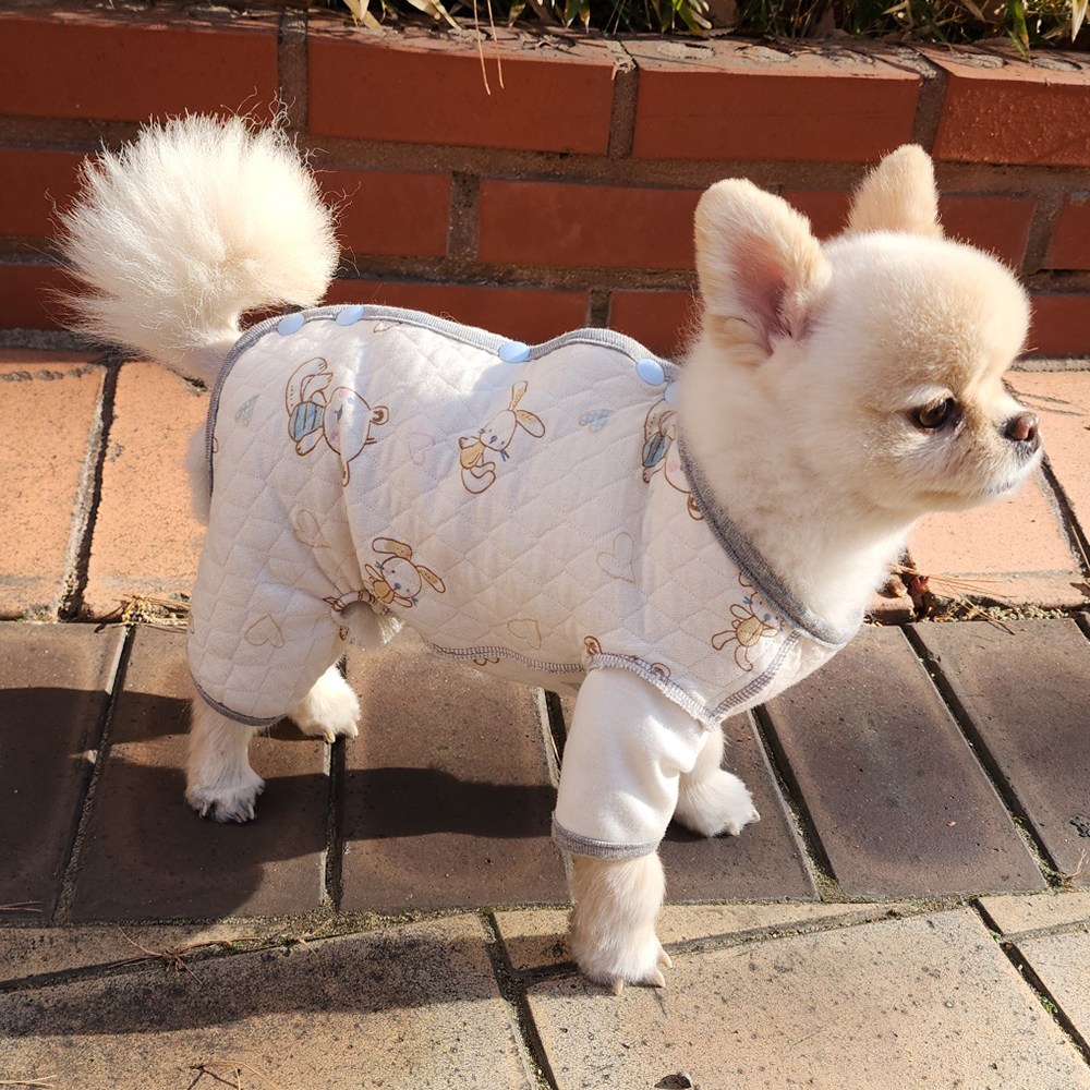 해피앤퍼피 강아지올인원 여자아이전용올인원 오가닉 등단추올인원 실내복 조끼, 그레이 등단추올인원 해리, 1개 95,900원