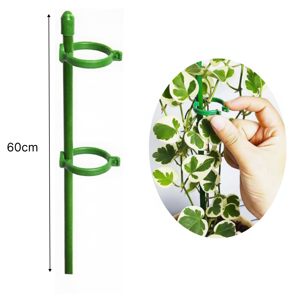 두두타운 높이조절 2단고정 식물지지대 60cm 9,900원