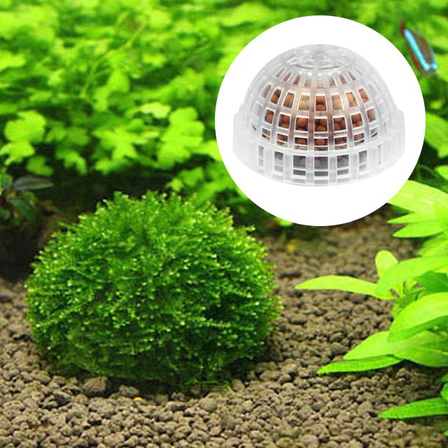 미미네아쿠아 모스활착전용 모스돔 1개 (ETB) 5,670원