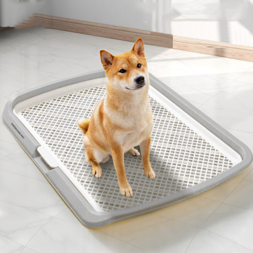 딩동펫 반려동물 보이즈 기둥배변판 12,600원