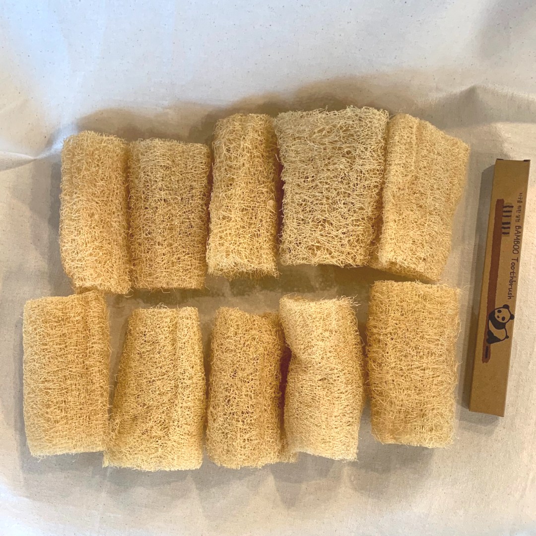 제로웨이스트 자연 천연수세미 10~15cm 대나무칫솔 선물, 10개, 1세트 10,330원