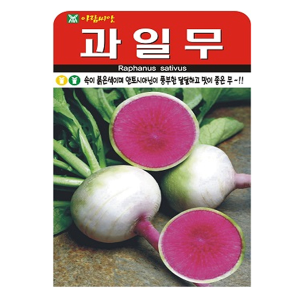 과일무 (수박무) 씨앗 동치미 무 무우 글루코시무, 3개 8,400원