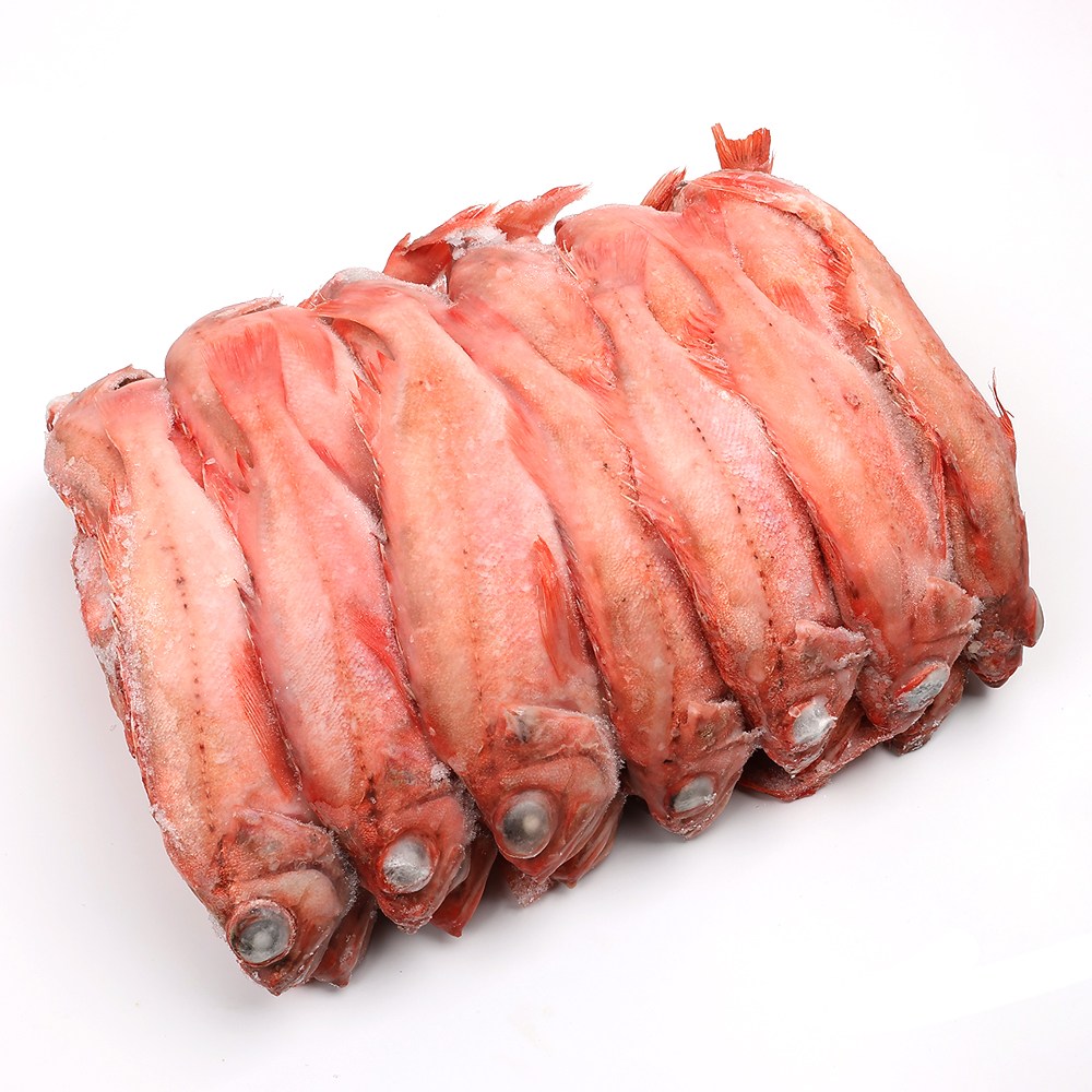 자갈치닷컴 적어 24~26cm내외 28마리 전후 빨간고기 장문볼락 열기 포르투갈, 2개, 8.3kg (28마리 전후) 136,000원