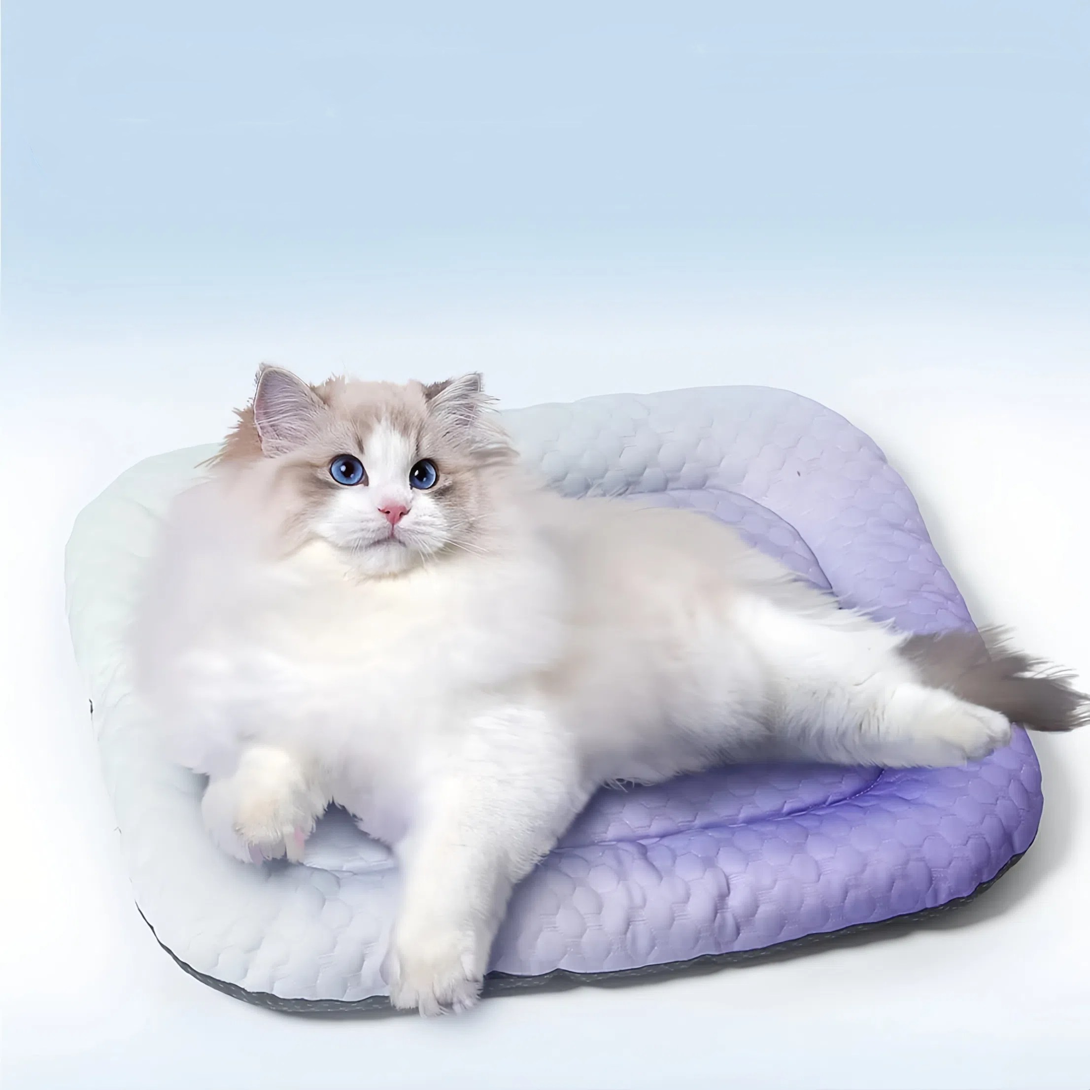 KBKXOZ 사계/아이스 네스트 아이스 패드 절강아지 쿨방석 반려동물 아이스 쿨매트/순면 방석 고양이 집/개집 7,840원