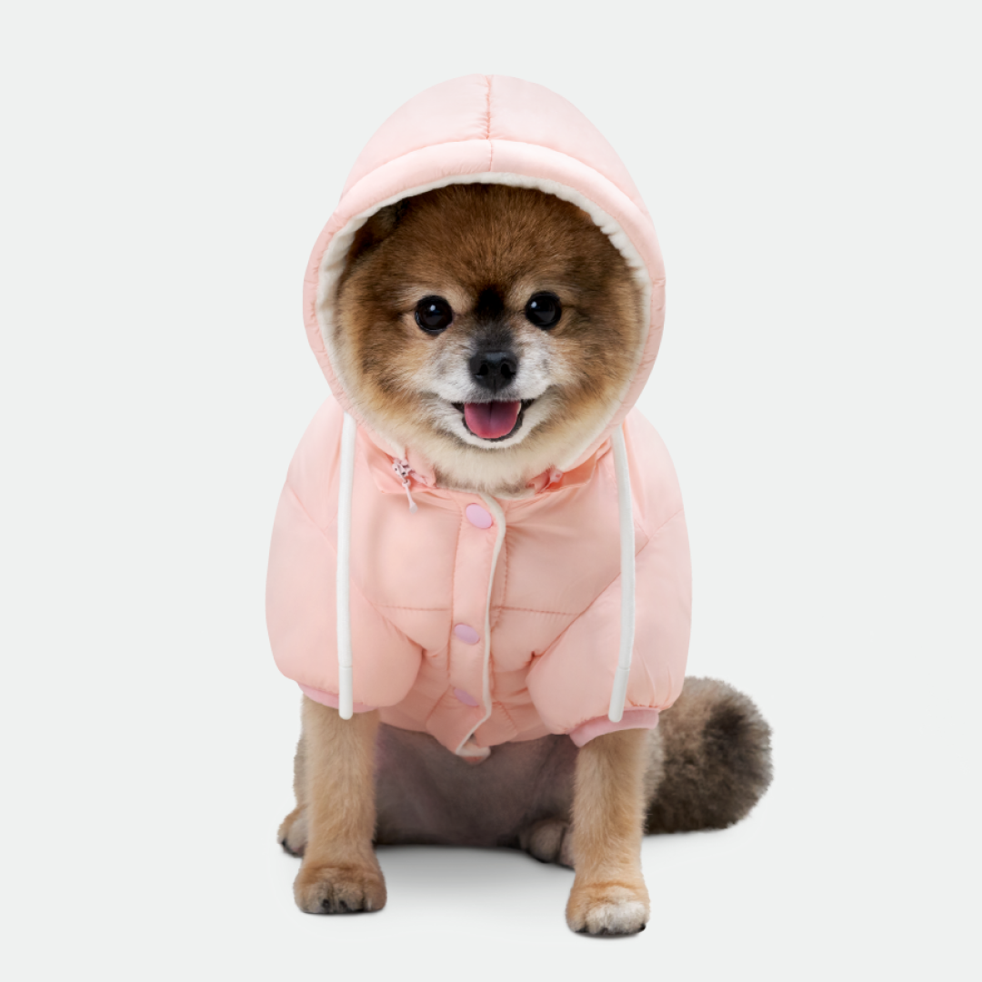 네오핏 강아지 패딩 겨울옷 양면 착용 소프트 구름 모자 넥워머, 소프트핑크, 1개 36,500원