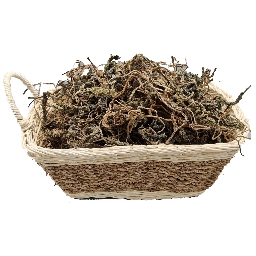 건조건나물 취나물(200g), 200g, 1개 5,600원