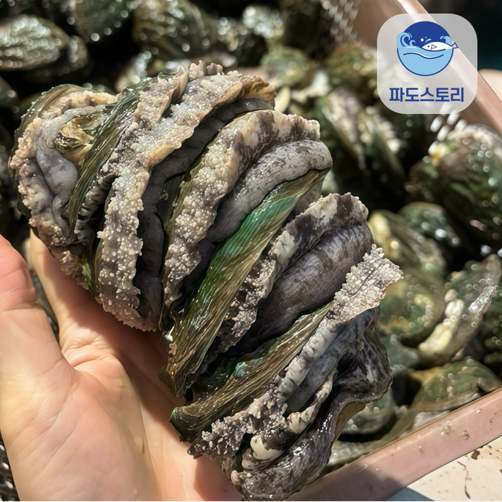 파도스토리 완도전복 왕특대 직거래 산지직송 산소포장 선물 세트, 1박스, 1kg(왕특대 8-9미 ) 34,700원