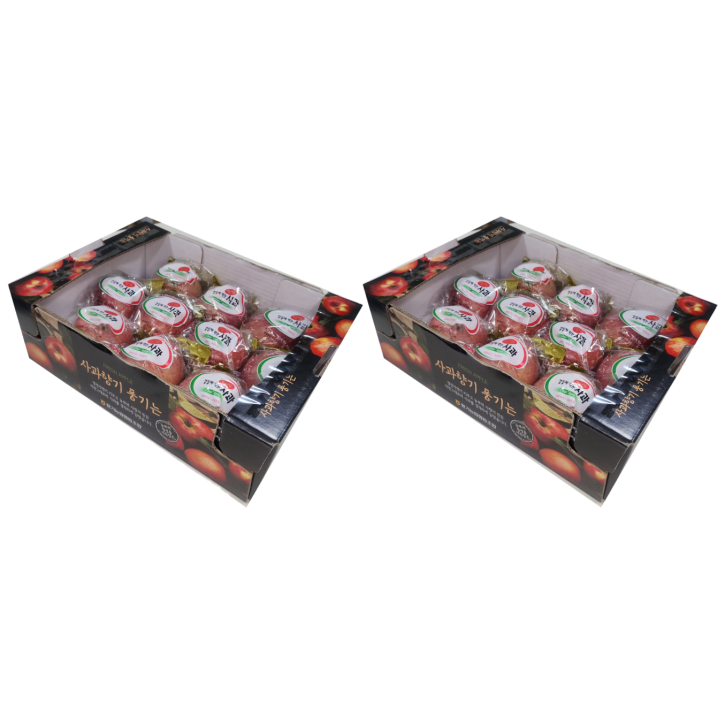 [특가행사중] 경북영주농협인증 고당도 부사 정품 세척사과 중대과(10~11과) 49,900원