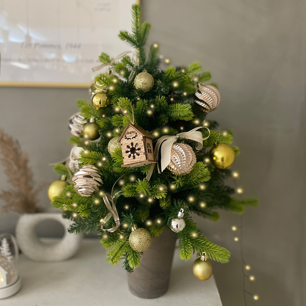 모리앤 크리스마스 프리미엄 트리 장식 풀세트 16,090원