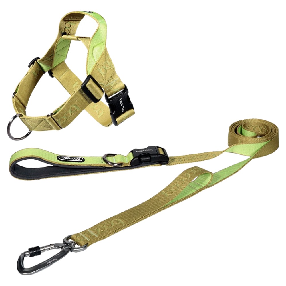 분독 강아지 플레이리쉬 롱리드줄 2m + 하네스 0109 세트, 키위, 1세트 100,700원
