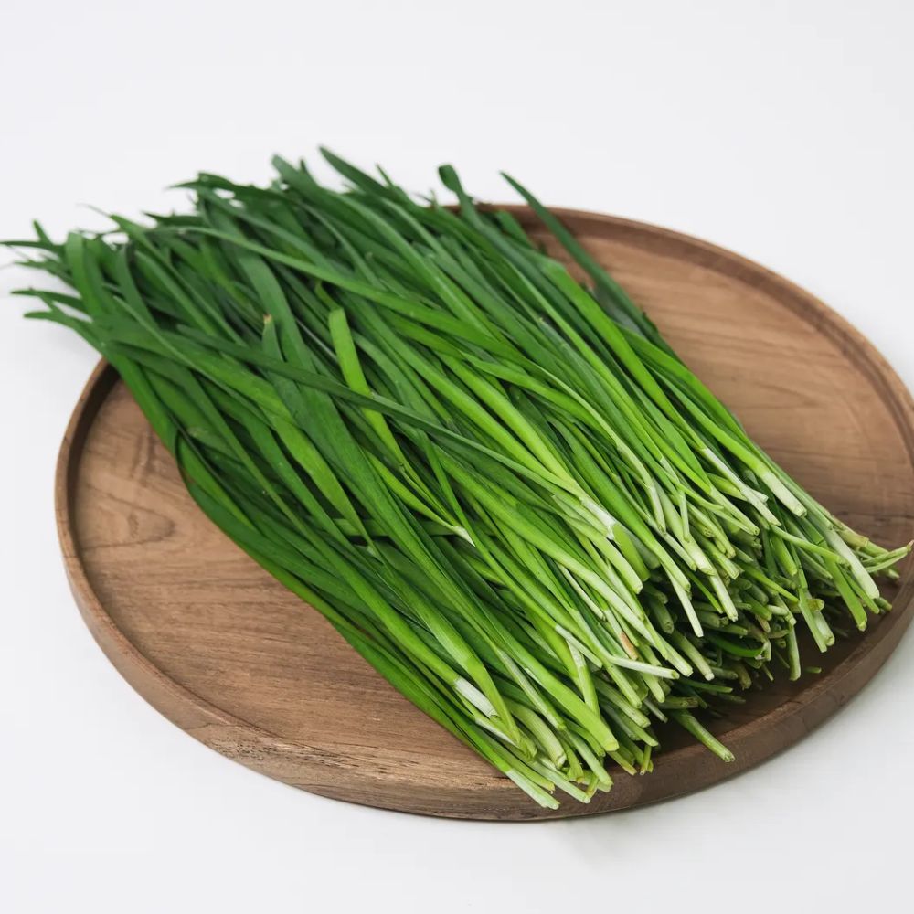 하나의팜 당일 경매 발송 부추 (특) 9,500원