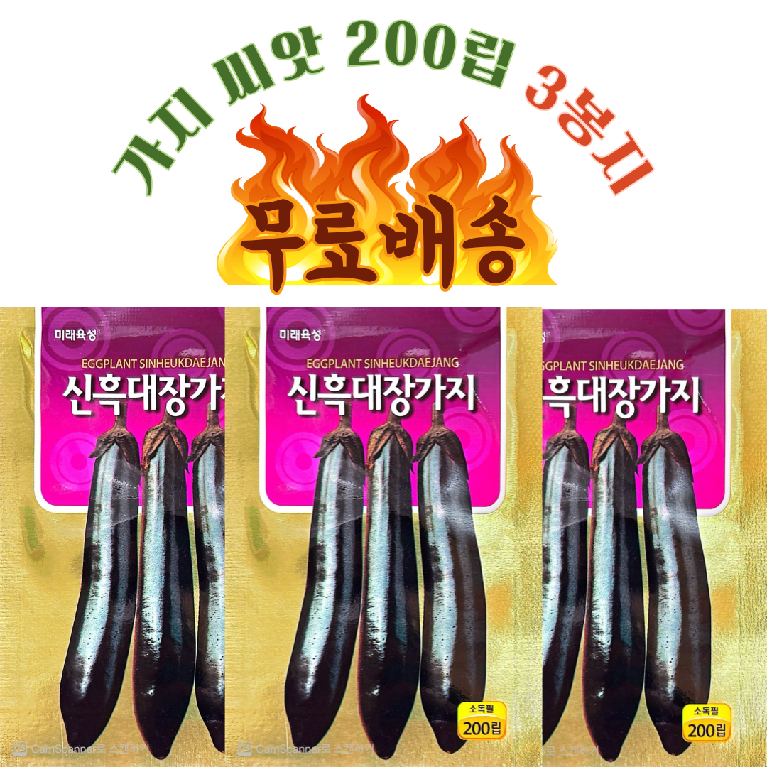 가지씨앗 200립 (200립 X 3봉지) 신흑대장가지종자, 3개 14,500원
