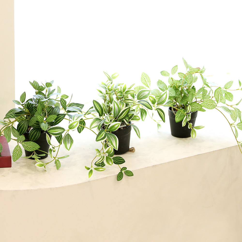 인테리어 조화 행잉플랜트 벽장식 가랜드 뉴행잉넝쿨화분, 혼합, 1세트 36,300원