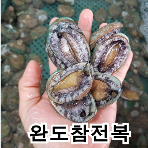 싱싱포장 완도활전복 꼬마전복부터 전복선물 21,900원