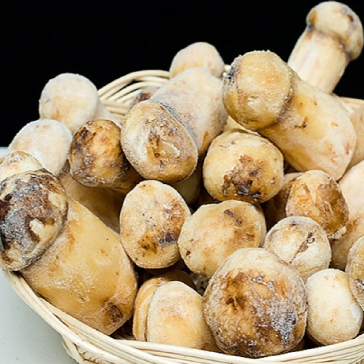 (청림송이,능이) 자연산 냉동송이버섯 (특품), 1개, 냉동송이/AS/1kg 63,500원