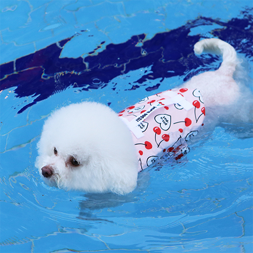 이츠독 후르츠 반려견 구명조끼 31,400원