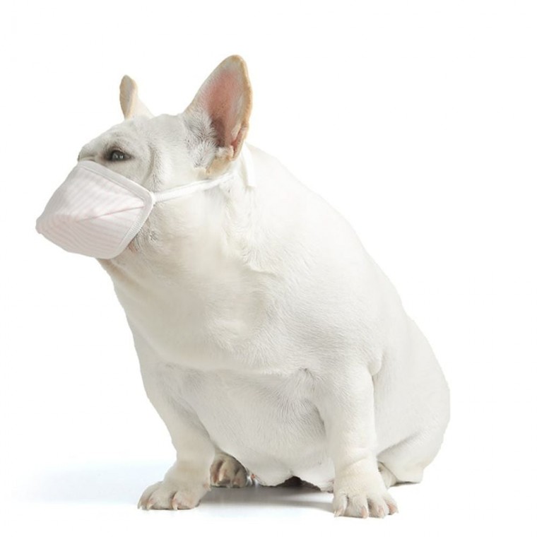 MOA 반려견 외출 마스크 3p 애견 산책 입마개 보호대 13,300원