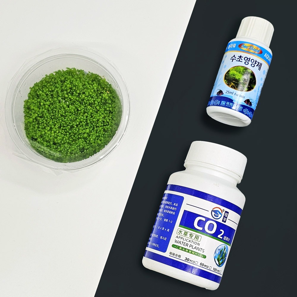 미미네아쿠아 쿠바펄 정제 이탄세트 20,500원