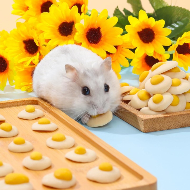 도치퀸 계란후라이 비스켓 햄스터 간식 5,100원