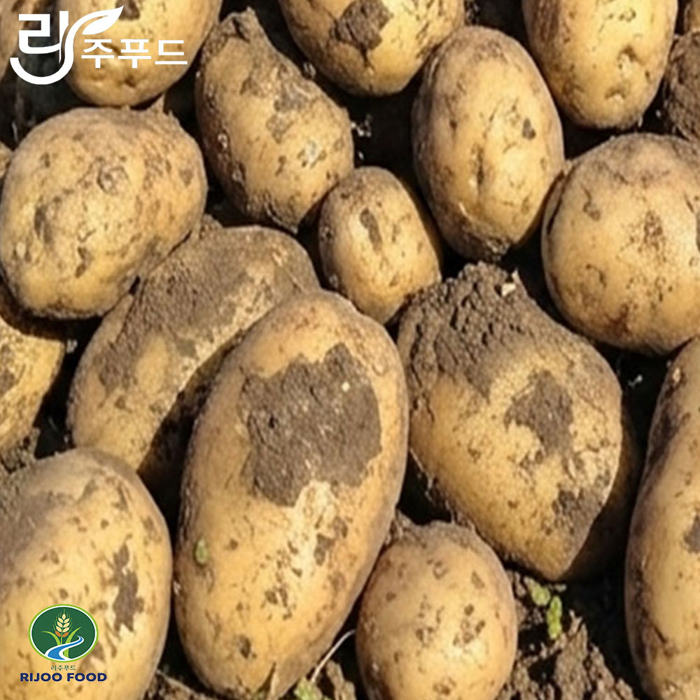 [오늘출발] 100%국내산 포슬포슬 신선한 흙감자 제철감자 특품 제주도감자 수미감자 햇감자 특5kg[원산지:국산] 27,800원