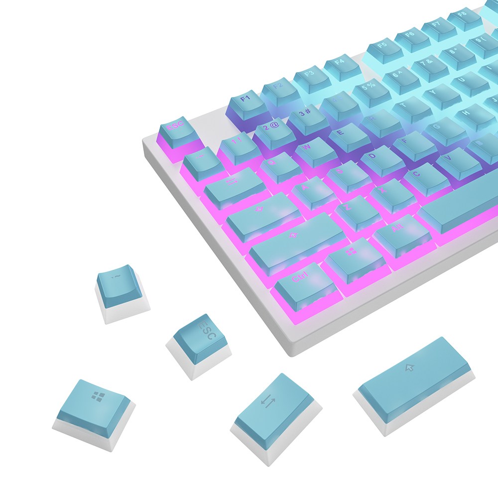 [LED투과 푸딩 키캡] PBT 119키 이중사출 OEM높이 풀세트 + 키캡리무버, BD119, 블루 23,800원
