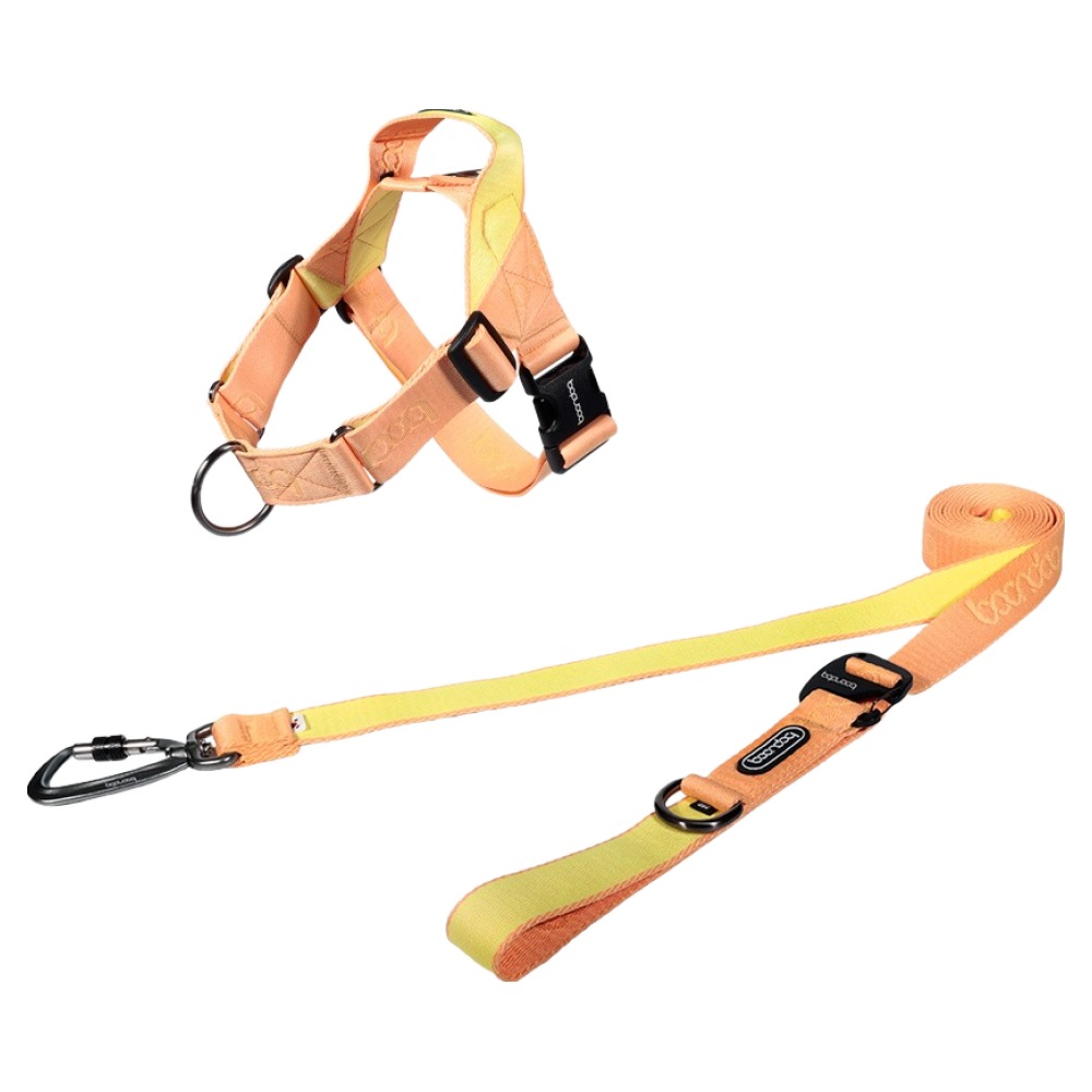 분독 강아지 플레이리쉬 롱리드줄 2.5m + 하네스 0109 세트 95,000원